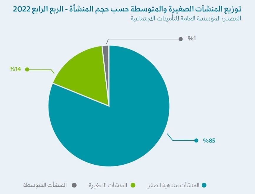 توزيع-المنشآت-الصغيرة-والمتوسطة